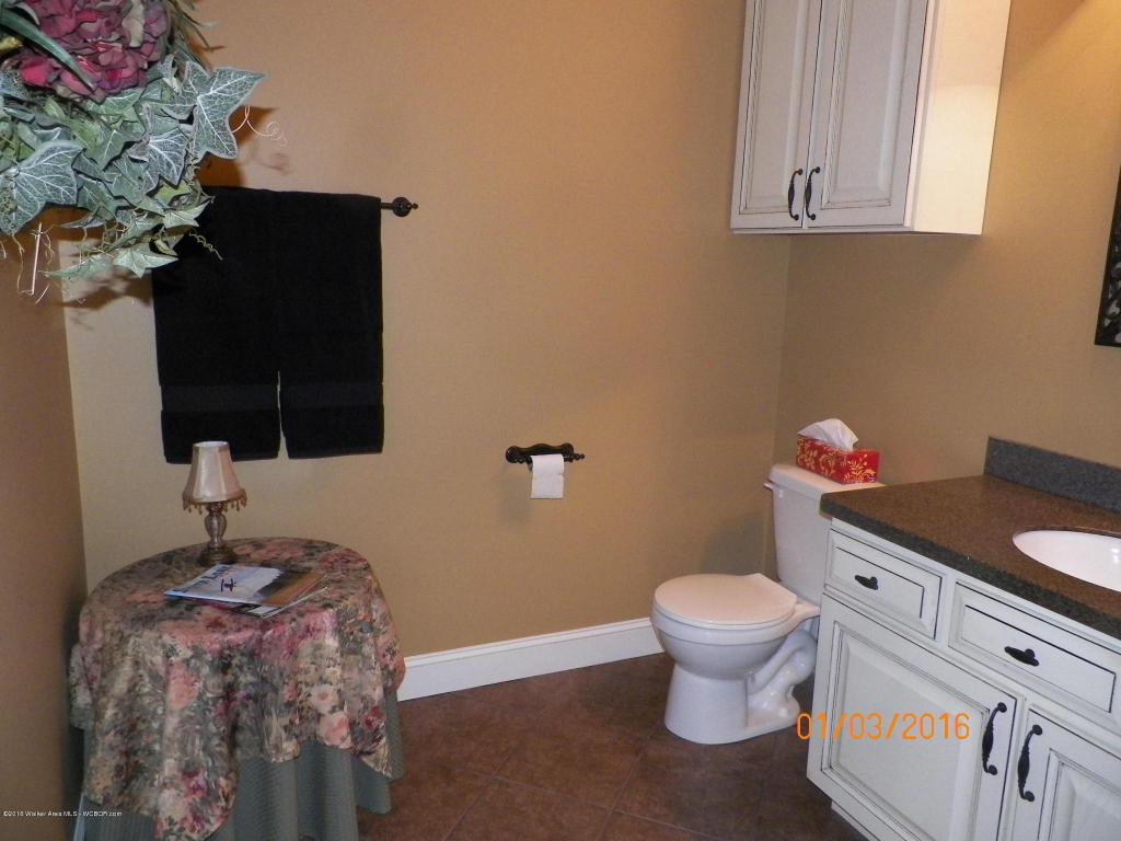 415 BRITNEY LANE, Double Springs, AL 35553
