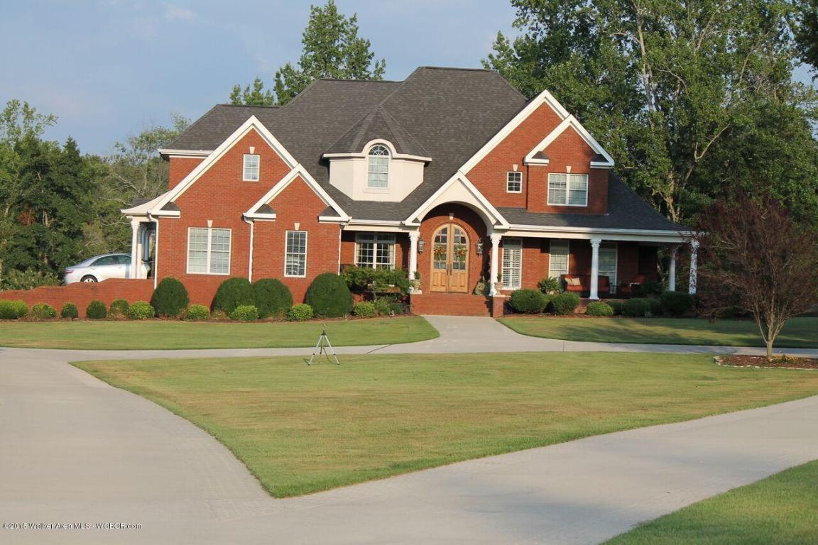 3622 LITTLEVILLE Rd, Haleyville, AL 35565