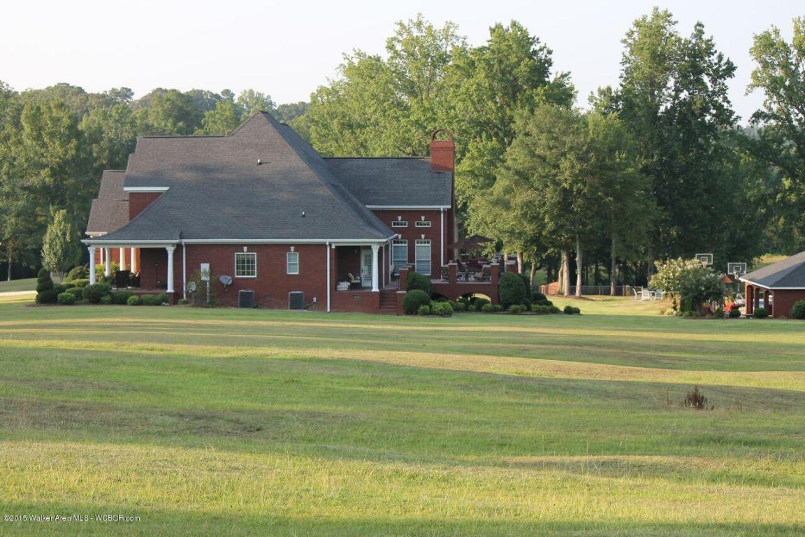 3622 LITTLEVILLE Rd, Haleyville, AL 35565