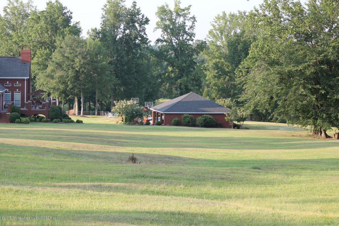 3622 LITTLEVILLE Rd, Haleyville, AL 35565