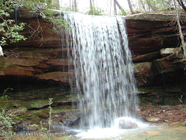 1916 CTY. RD. 9, Natural Bridge, AL 35577