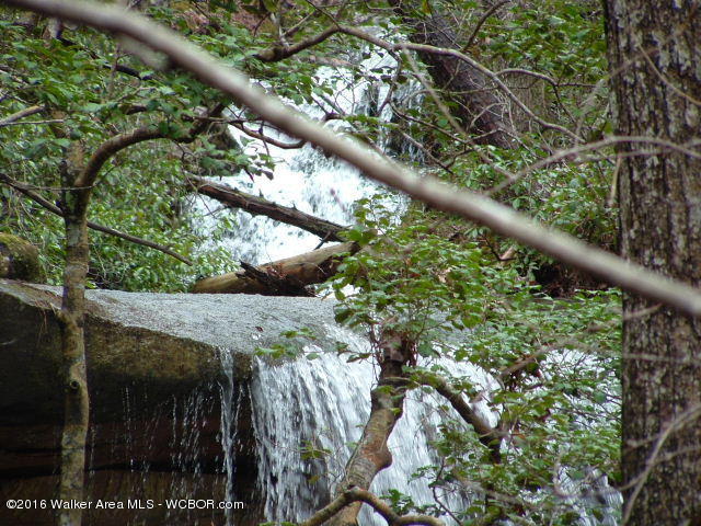 1916 CTY. RD. 9, Natural Bridge, AL 35577