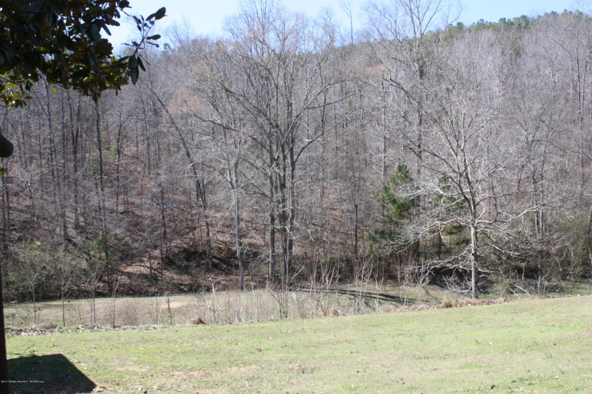 3366 AMERICA JUNCTION Rd, Parrish, AL 35580