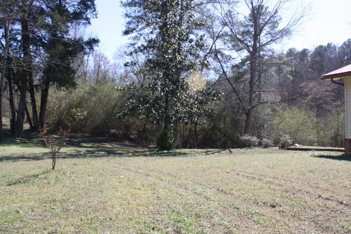 3366 AMERICA JUNCTION Rd, Parrish, AL 35580