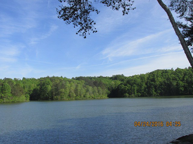00 Lakeview Rd., Phil Campbell, AL 35581