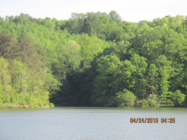 00 Lakeview Rd., Phil Campbell, AL 35581