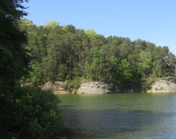 00 Lakeview Rd., Phil Campbell, AL 35581