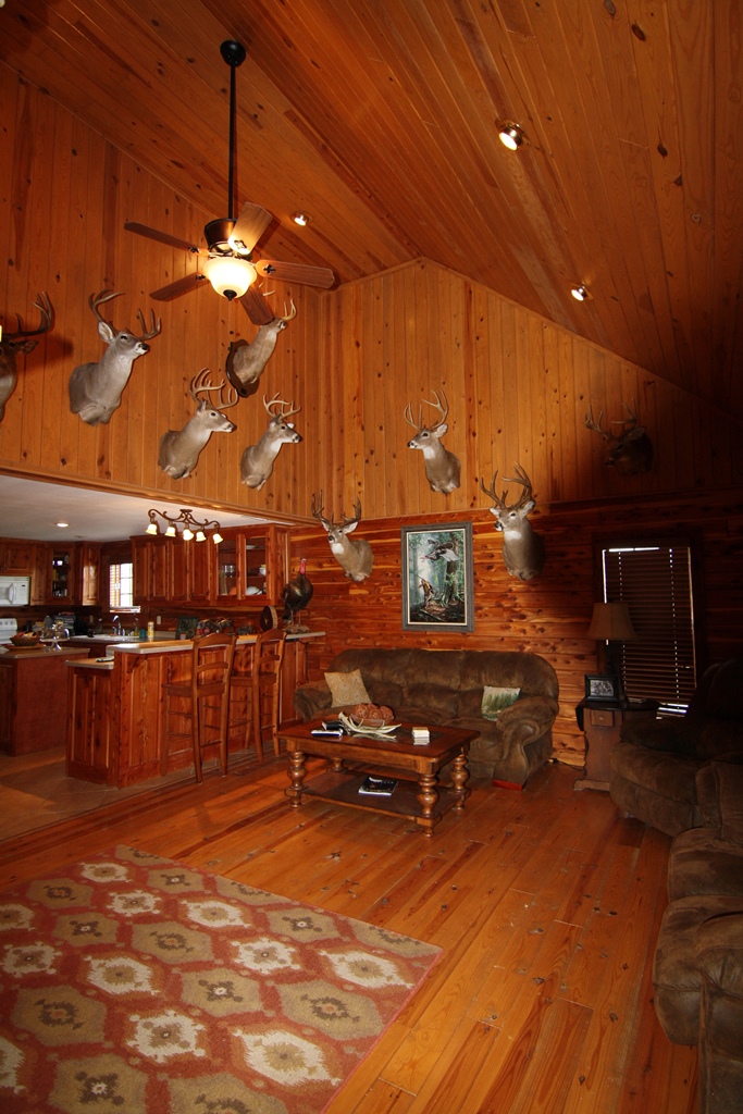 311 Hollow Rd, Spruce Pine, AL 35585