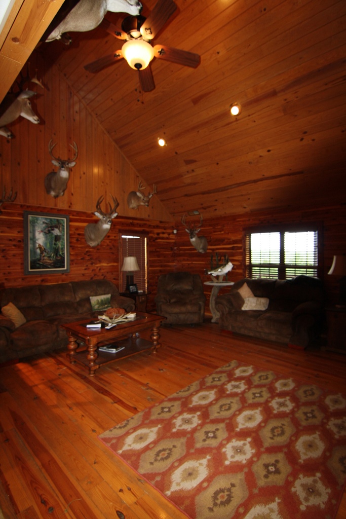 311 Hollow Rd, Spruce Pine, AL 35585