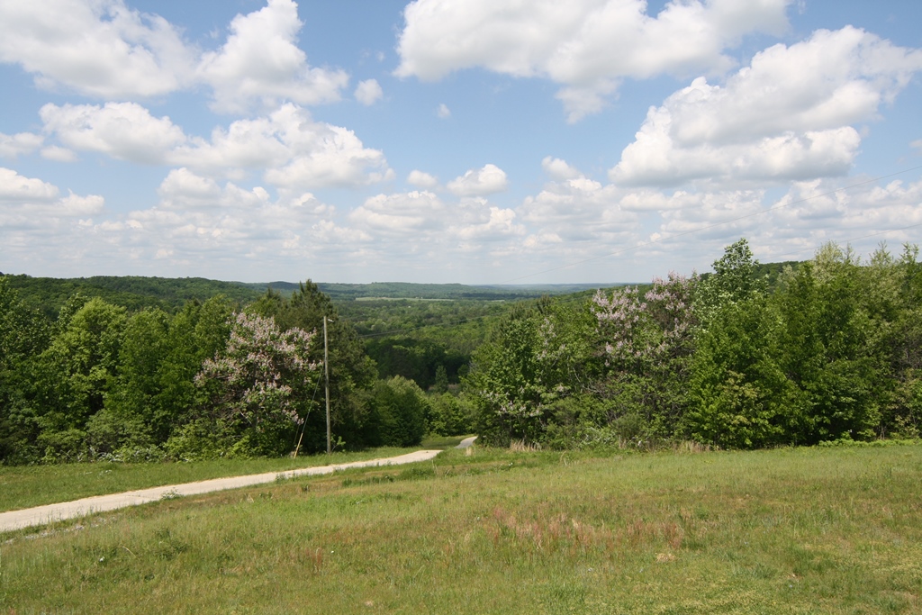 311 Hollow Rd, Spruce Pine, AL 35585