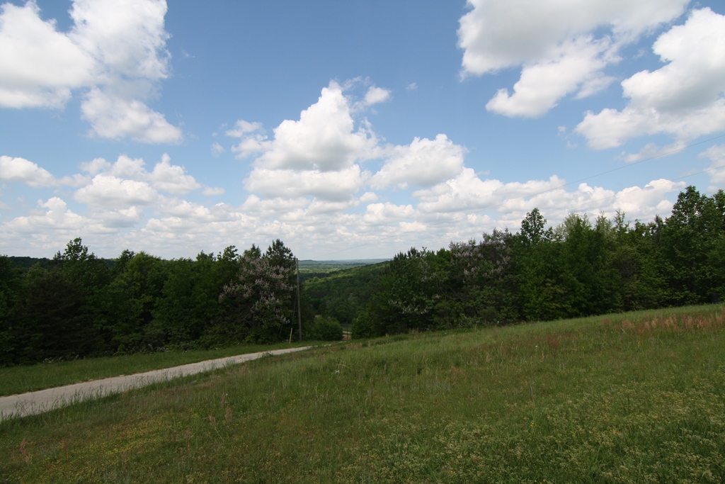 311 Hollow Rd, Spruce Pine, AL 35585