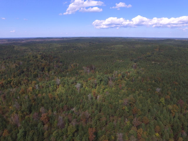 0 Fossick Lane, Cherokee, AL 35616