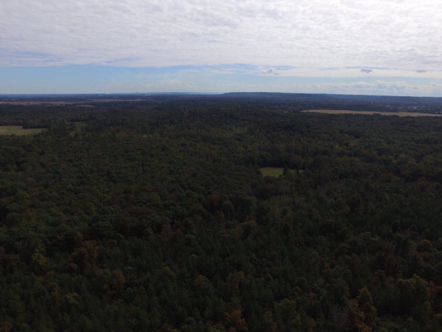 0 Fossick Lane, Cherokee, AL 35616