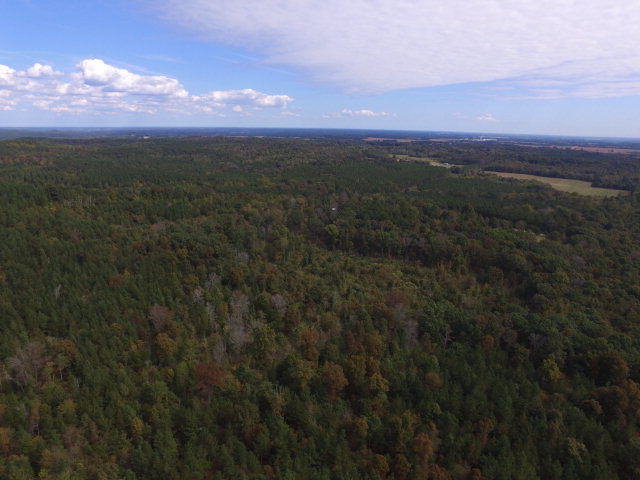 0 Fossick Lane, Cherokee, AL 35616