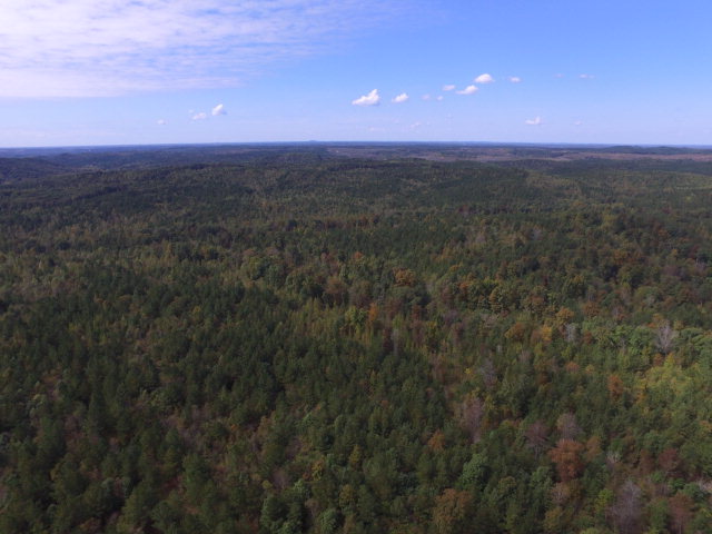 0 Fossick Lane, Cherokee, AL 35616