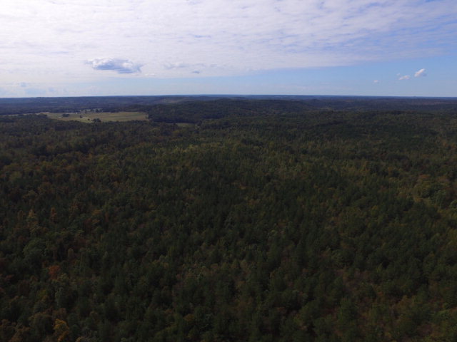 0 Fossick Lane, Cherokee, AL 35616