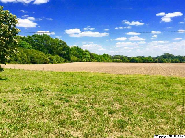 963 Liberty Road, Danville, AL 35619