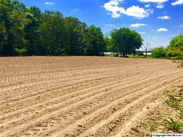 963 Liberty Road, Danville, AL 35619