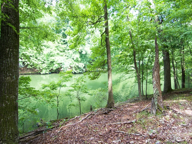 0 CR 367, Florence, AL 35634