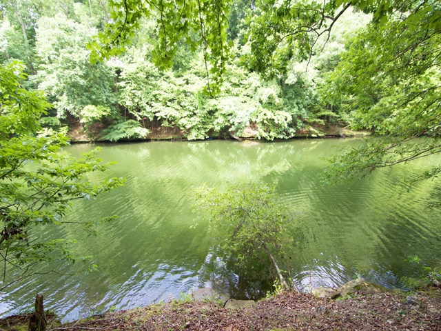0 CR 367, Florence, AL 35634