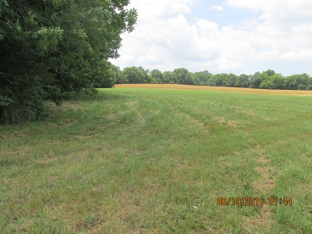 200 Malibu Ln, Killen, AL 35645