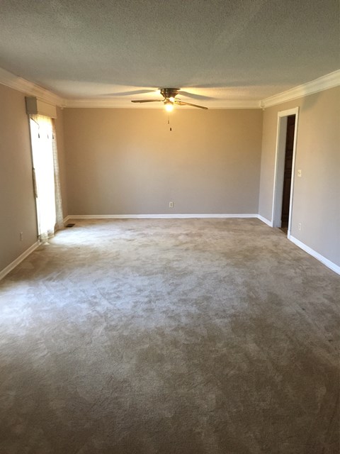 2190 New High School St, Leighton, AL 35646
