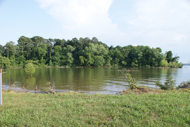 8 Naomi Dr, Rogersville, AL 35652
