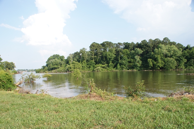 8 Naomi Dr, Rogersville, AL 35652