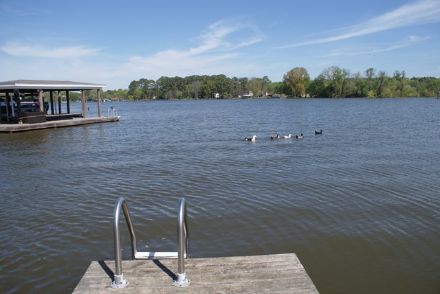 123 Vista Shores Rd, Rogersville, AL 35652