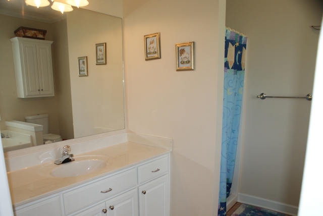 123 Vista Shores Rd, Rogersville, AL 35652