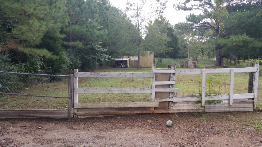 13640 Hwy 243, Russsellville, AL 35653
