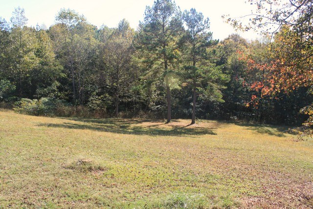 715 Hwy 133, Russellville, AL 35653