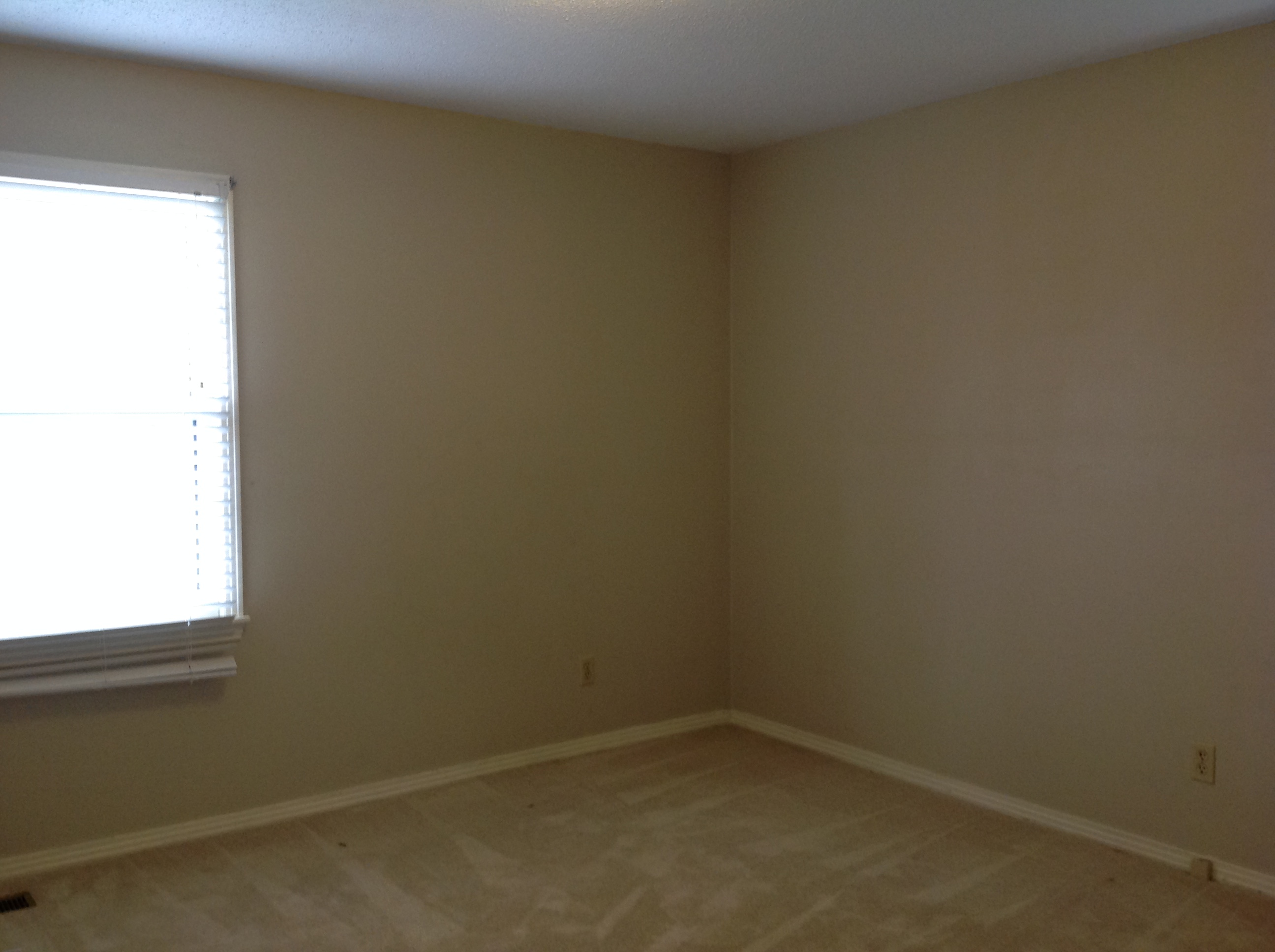 281 Hwy 44, Russellville, AL 35654