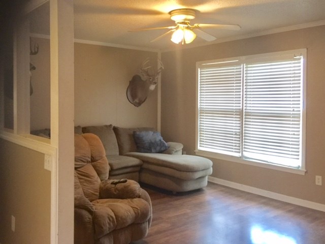 1502 Frey Ave, Sheffield, AL 35660