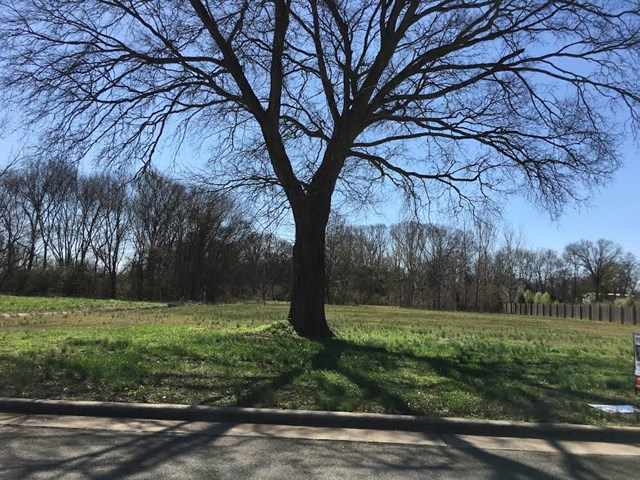 0 Cambridge Cr, Muscle Shoals, AL 35661
