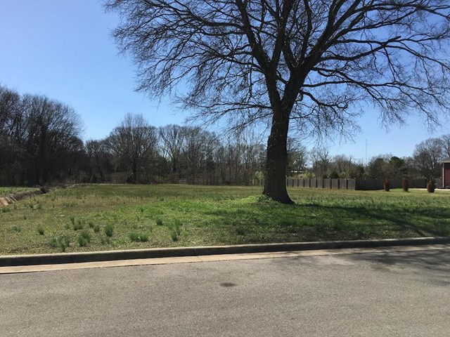 0 Cambridge Cr, Muscle Shoals, AL 35661