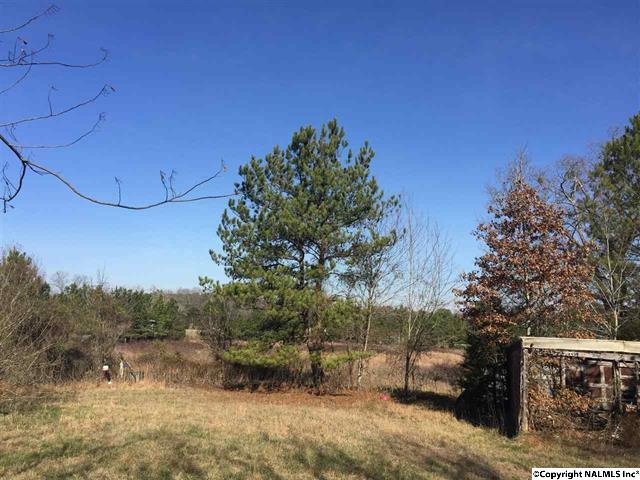 885 Charest Road, Somerville, AL 35670