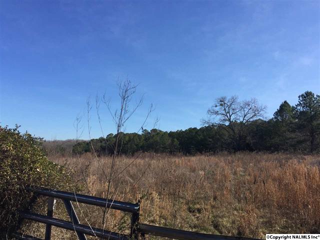 885 Charest Road, Somerville, AL 35670