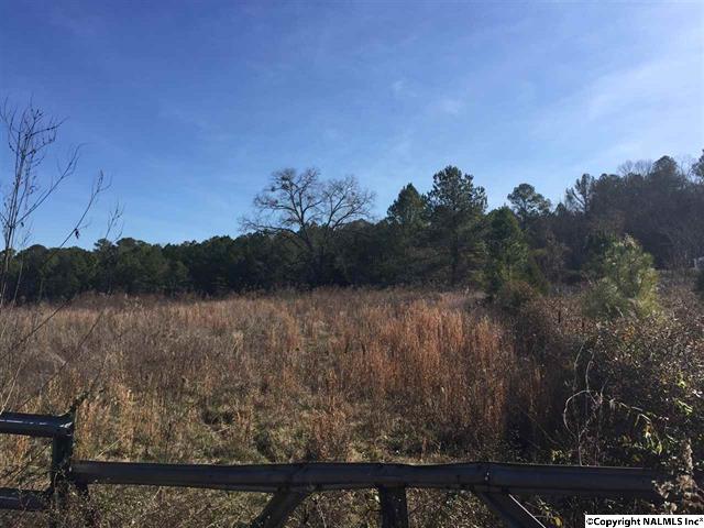 885 Charest Road, Somerville, AL 35670