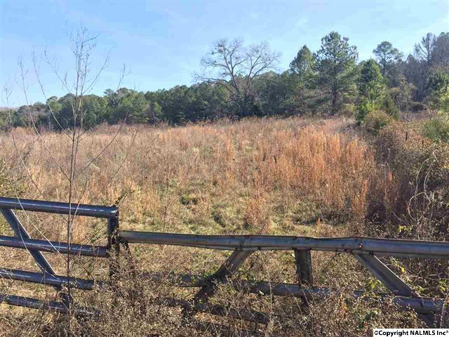 885 Charest Road, Somerville, AL 35670