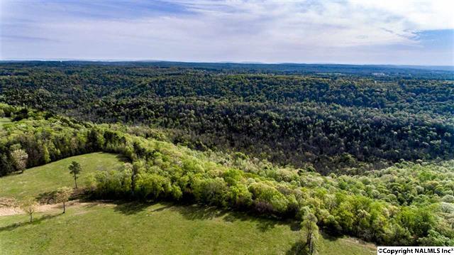 264 Morrow Mountain Road, Somerville, AL 35670