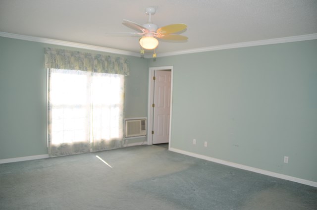 645 Renee Dr, Tuscumbia, AL 35674
