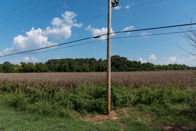 00 West Hwy 72, Tuscubmia, AL 35674