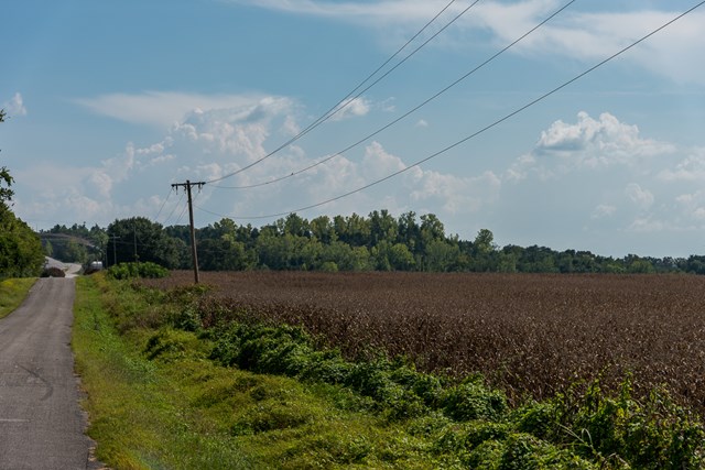 00 West Hwy 72, Tuscubmia, AL 35674