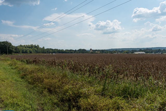00 West Hwy 72, Tuscubmia, AL 35674