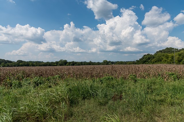 00 West Hwy 72, Tuscubmia, AL 35674