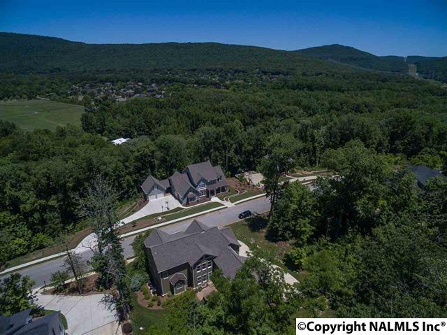 4614 Legacy Preserve Way, Brownsboro, AL 35741