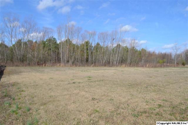 106 Ben Mark Drive, Harvest, AL 35749
