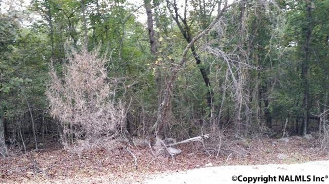 0 Lewis Mountain Road, New Market, AL 35761