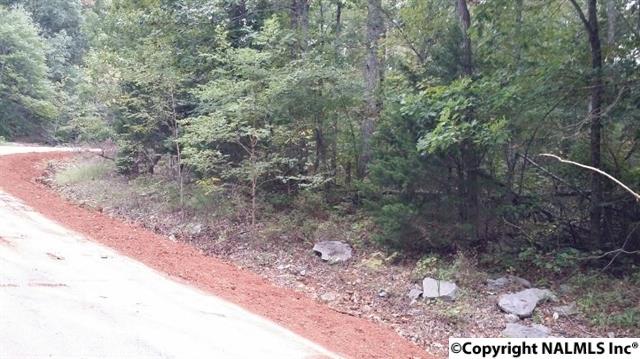 0 Lewis Mountain Road, New Market, AL 35761